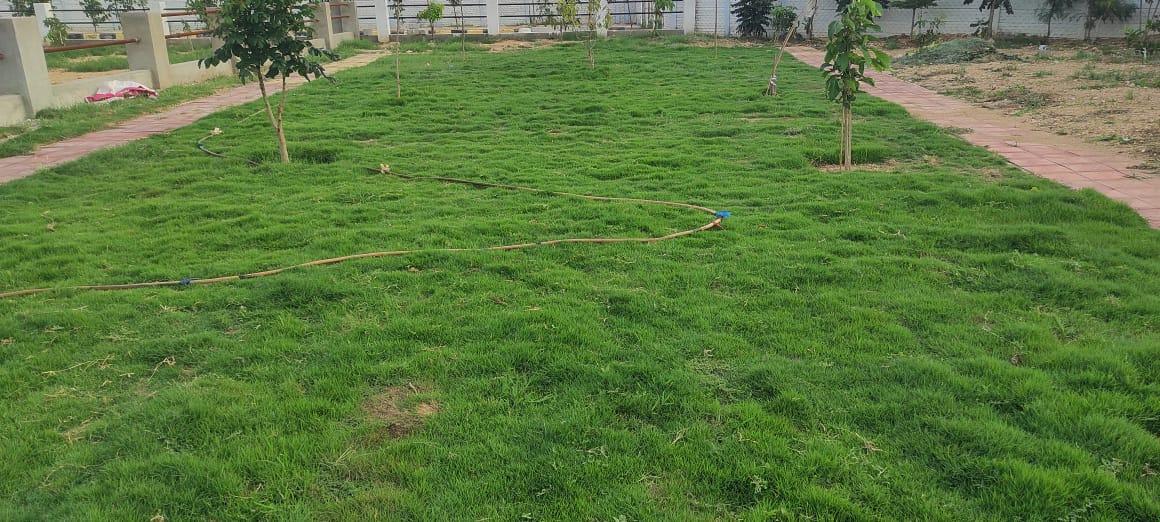 RRR Riverside Layout